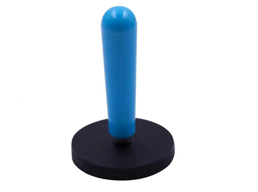 Magnet